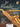 First Recital Series — Alto Saxophone