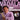 Chris Vadala - Jazz Adventures — Alto Saxophone