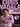 Chris Vadala - Jazz Adventures — Alto Saxophone