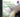 Simply More Sparke (CD) — Easy Music for Concert Band