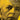 Piano Concerto No. 3 — National Federation of Music Clubs 2024-2028 Selection 2 Pianos, 4 Hands