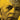 Violin Concerto No. 1, Opus Posthumous — Violin and Piano