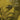 Boosey & Hawkes — Contrasts