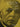 Boosey & Hawkes — Contrasts