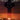 Ave Verum — Voice and Piano