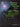 The Christopher Norton Country Preludes Collection — 16 Original Pieces for Solo Piano Based on Country Styles