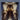 Mariel — Violoncello and Marimba Two Performance Scores