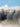 WTC 9/11 — for String Quartet and Pre-Recorded Audio - Set of Parts