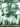 L'ascension pour Orgue — for Organ