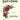 Salut d'Amour, Op. 12, No. 3 — Cello and Piano