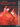 3 Virtuoso Flamenco Studies