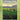Irish Folk Tunes for Flute