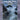 Schott — Irish Folk Tunes for Viola