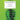 Schott — Violin Studies