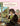My First Beethoven — Easiest Piano Pieces English
