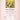 Lord's Prayer — High Voice (E-Flat) and Organ