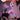 Schirmer's Halloween Favorites — Piano Solo
