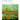 Concerto in E Major La Primavera (Spring) from The Four Seasons RV269, Op.8 No.1 — Critical Edition Violin and Piano Reduction