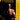 Cantolopera: Arias for Tenor - Volume 2 — Cantolopera Collection