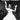 Renata Tebaldi — Aria Collection with Interpretations
