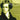 Bellini Arias for Soprano — Cantolopera Series