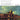 The Four Seasons — Reduction for violin and piano by Maurizio Carnelli