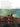 The Four Seasons — Reduction for violin and piano by Maurizio Carnelli