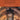 Russian Double Bass Album