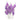 Pirastro Eudoxa, Viola C, Gut/Silver, Straight, 4/4, 21 Medium
