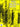 Studies for Playing Contemporary Music | Palm, Siegfried (Hrsg.)