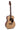 Applause Wood Classic OM, Naturall Gloss