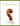 The Infant Paganini for Violin and Piano by Mollenhauer, Edward