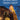 An Easy Bach Organ Album