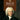 Bach. A Life in Pictures