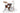 CM2-E605 Gretsch Catalina Maple 5pc Shell Pack, Walnut Glaze