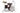CM2-E625 Gretsch Catalina Maple 5pc Shell Pack, Walnut Glaze