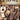 Today's Folk Rock Hits