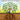 Music of Our Roots