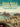 The Most Requested Bossa Nova & Samba Songs