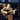 Django Reinhardt — Guitar Play-Along Volume 144