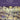 Two Pieces Op. 9 — Double Bass and Piano