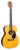 000JR-10E Shawn Mendes Guitar