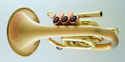 Carol Brass Arturo Sandoval Model