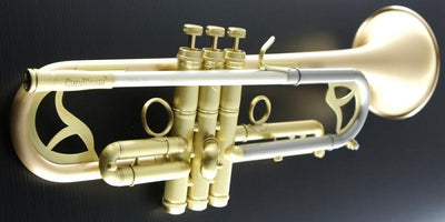 Carol Brass CTR-7660L-GSS-SL-Bb