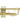 Carol Brass CTR-8880H-GST-Bb Trumpet - Gold Brass Satin