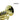 Carol Brass CPT-1000 Pocket Trumpet - Professional Finish