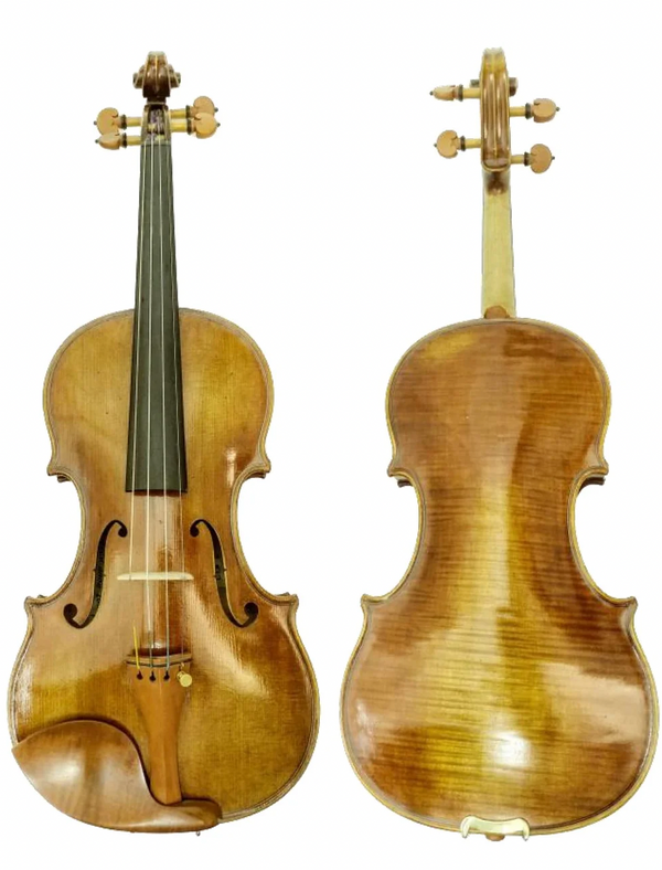 Viola