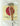 Larsen Soloist, Cello A, Steel/Stainless Steel, 4/4, Medium, Bulk 5pcs