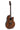 Ovation Celebrity Traditional Plus E-Acoustic Guitar CS24P-NBM, Nutmeg Burled Maple