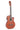 GEWA Basic E-Acoustic Classical Guitar 4/4 Walnut